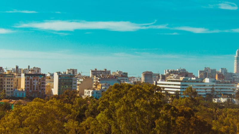 Turkish Airlines Casablanca Office